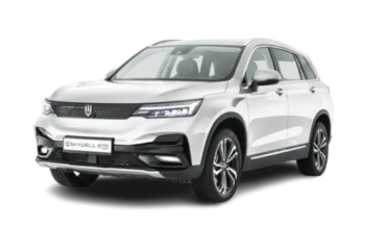 EV Car with driver Dubai